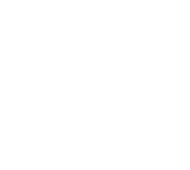 $0 WAKIX copay program icon