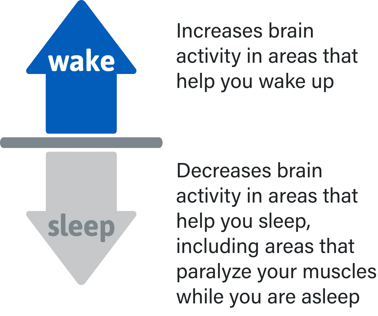 Arrow pointing up to represent increased wakefulness and arrow pointing down to represent reduced sleep